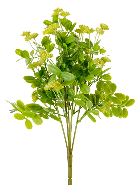 Picture of 19" CLOVER FLOWER BUSH