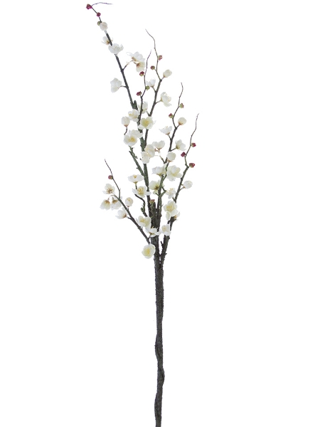 Picture of 47" PLUM BLOSSOM