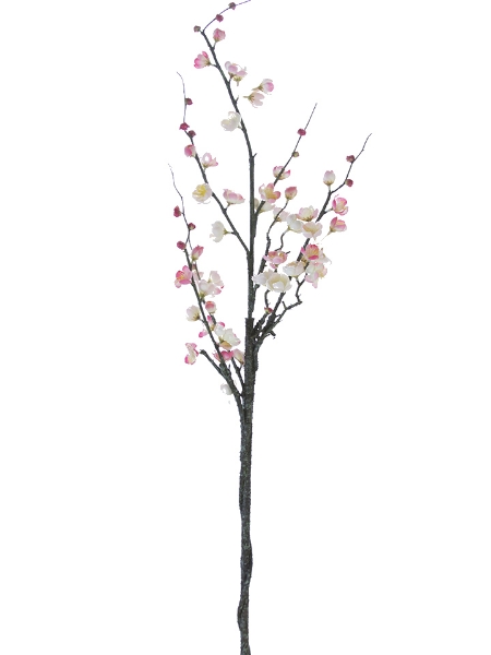 Picture of 47" PLUM BLOSSOM