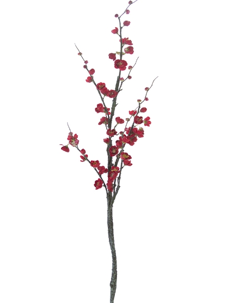 Picture of 47" PLUM BLOSSOM