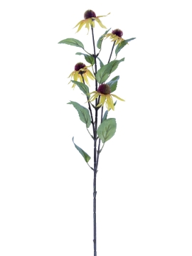 Picture of 28" CONE FLOWER SPRAY