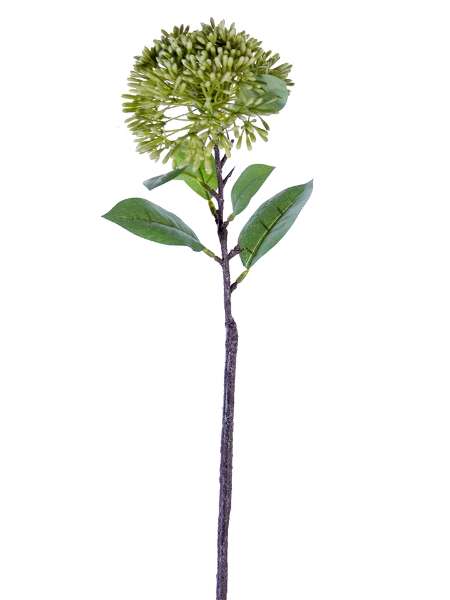 Picture of 21" SPIKY WILD FLOWER STEM