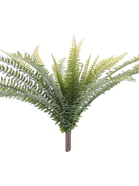 Picture of 26"BOSTON FERN BUSH