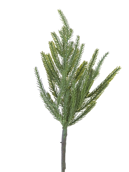 Picture of 16" FIR PINE PICK