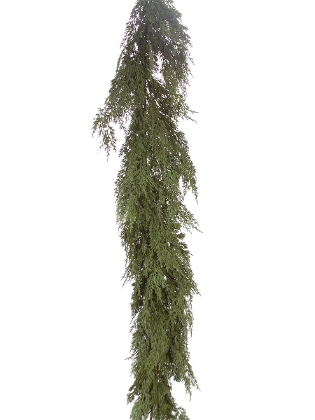 Picture of 5' JUNIPER GARLAND