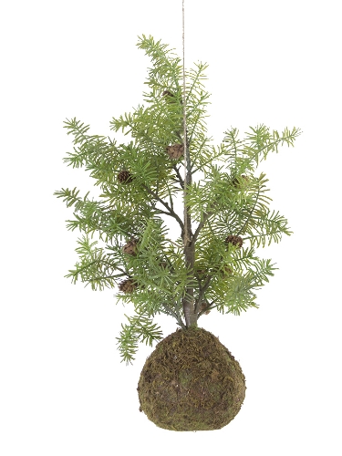 Picture of 28" FIR PINE MOSS BULB