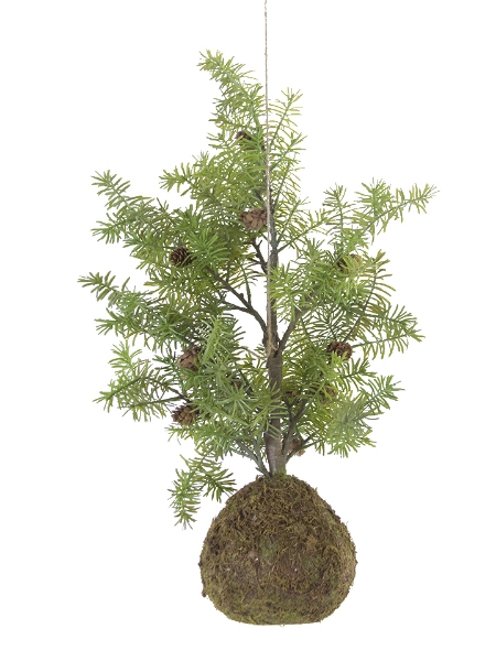 Picture of 28"FIR PINE W/MOSS BULB