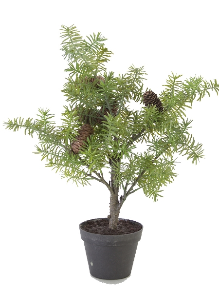 Picture of 22"FIR PINE TREE W/CONE POT