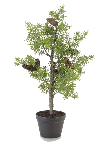 Picture of 32"FIR PINE TREE W/CONE POT