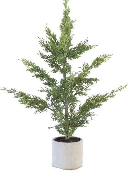 Picture of 30.5"JUNIPER TREE IN POT