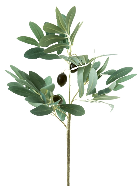 Picture of 21" OLIVE TREE SPRAY