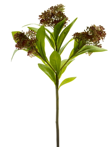 Picture of 21" VIBURNUM BERRY