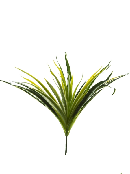 Picture of 12" ORCHID GRASS