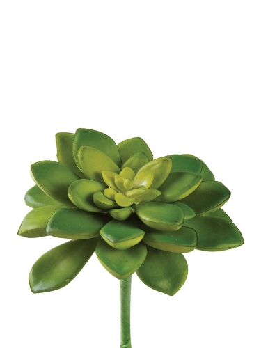 Picture of 5" HEN N CHICKS