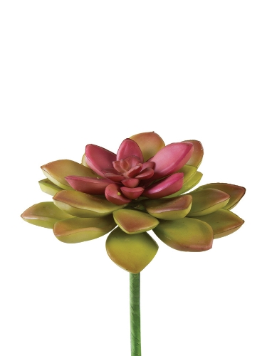 Picture of 5" HEN N CHICKS