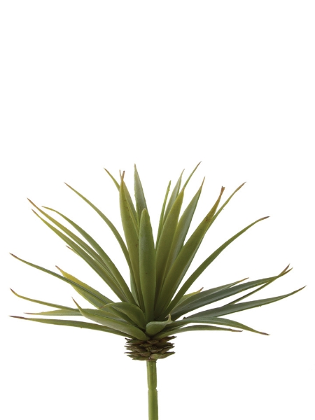 Picture of 6" MINI YUCCA PICK