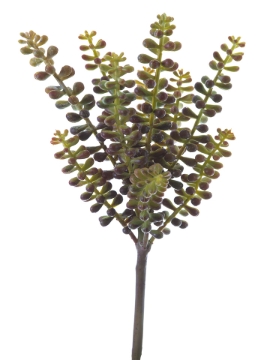 Picture of 10.5" SEDUM PICK
