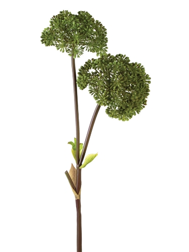 Picture of 35" SEEDED ALLIUM X2