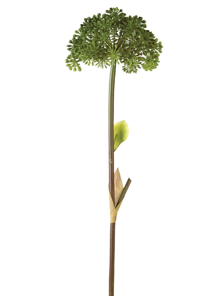 Picture of 27" SEEDED ALLIUM STEM