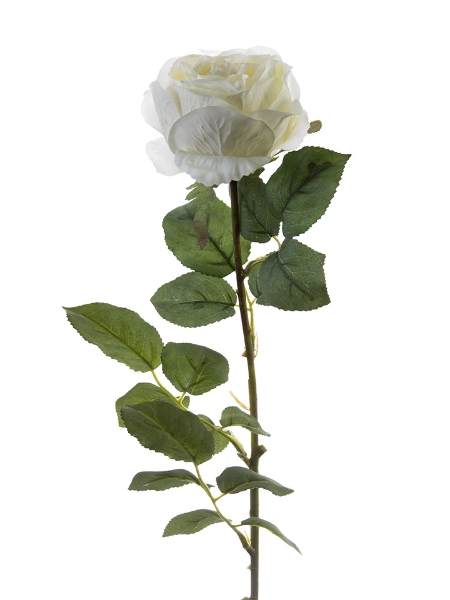 Picture of 29" ROMANTICA ROSE