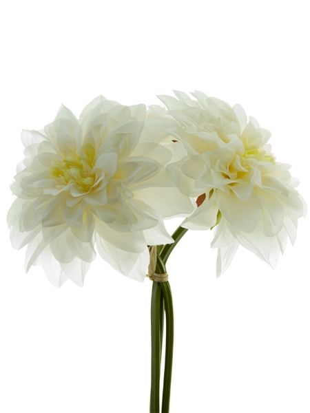 Picture of 10" DAHLIA BUNDLE