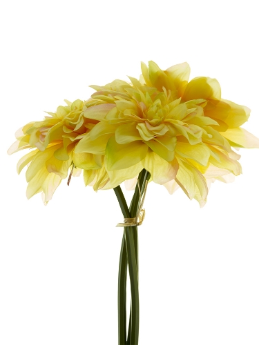 Picture of 10" DAHLIA BUNDLE