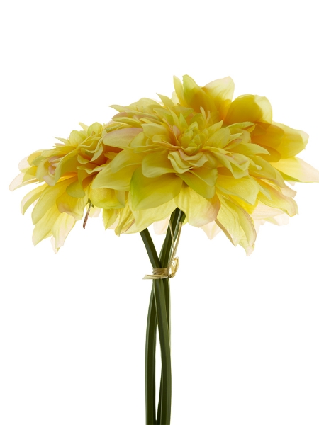 Picture of 10"DAHLIA BUNDLE