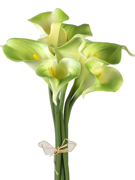 Picture of 12" CALLA LILY STEM X7