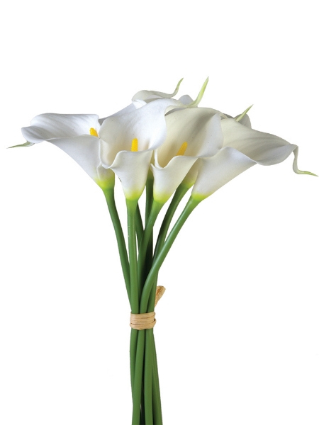 Picture of 12" CALLA LILY STEM X7