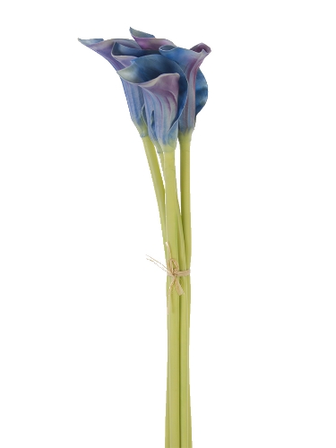 Picture of 26.5" CALLA LILY BUNDLE X5