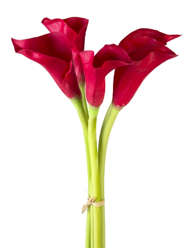 Picture of 26.5" CALLA LILY BUNDLE X5