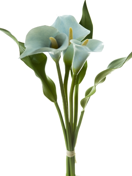 Picture of 15" CALLA BUNDLE X3