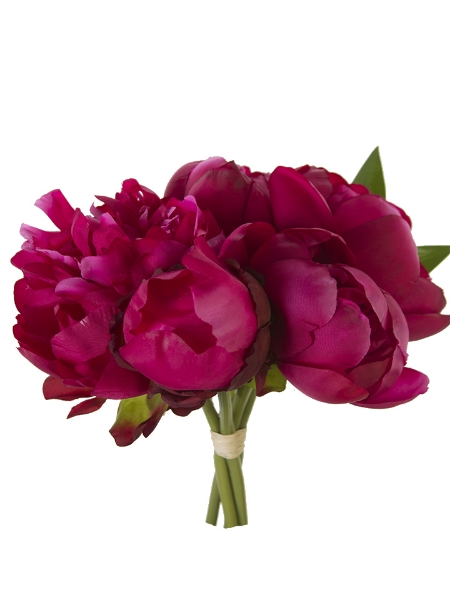 Picture of 10" PEONY BUNDLE