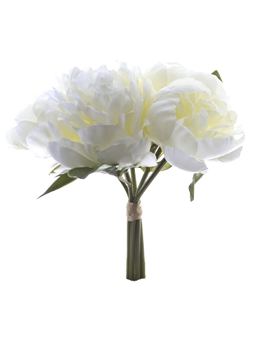 Picture of 10" PEONY BUNDLE