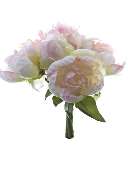 Picture of 10" PEONY BUNDLE