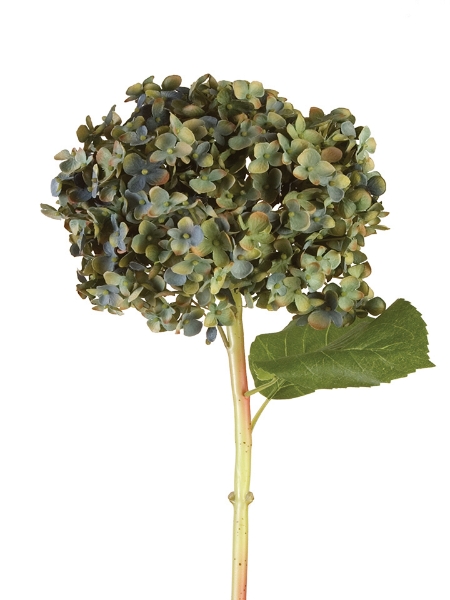 Picture of 32" ROUND HYDRANGEA