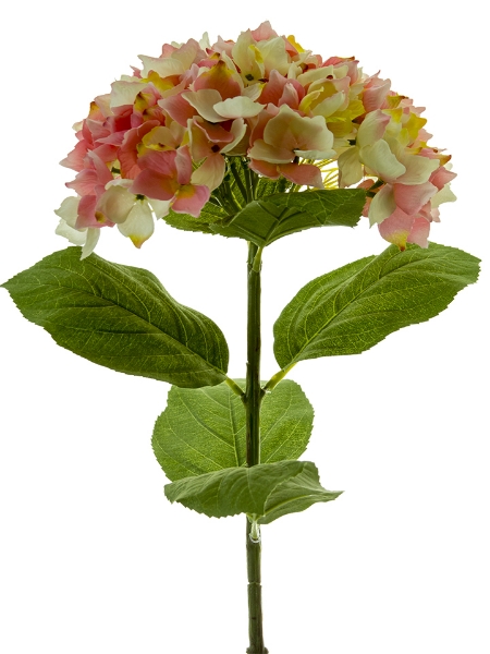 Picture of 28" MOPHEAD HYDRANGEA