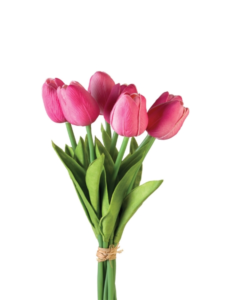 Picture of 12" TULIP STEM X7