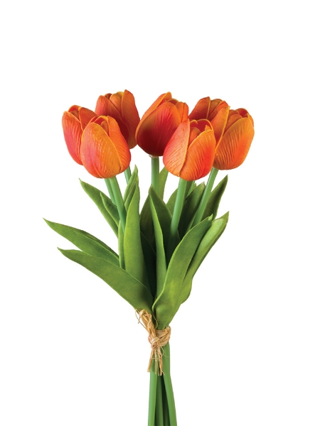 Picture of 12" TULIP STEM X7