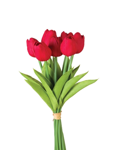 Picture of 12" TULIP STEM X7