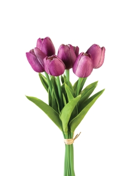 Picture of 12" TULIP STEM X7