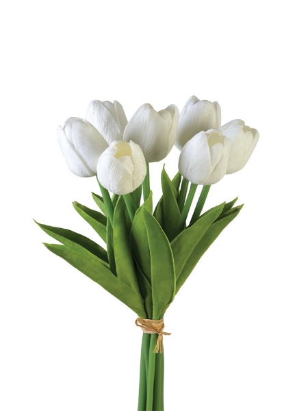 Picture of 12" TULIP STEM X7