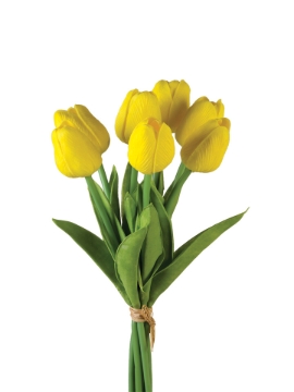 Picture of 12" TULIP STEM X7