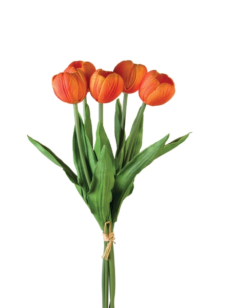 Picture of 17" TULIP STEM X5