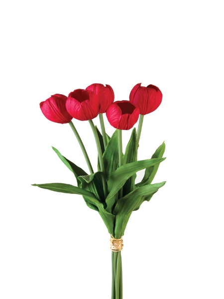 Picture of 17" TULIP STEM X5