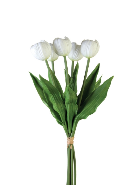 Picture of 17" TULIP STEM X5