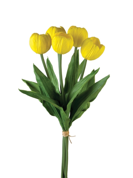 Picture of 17" TULIP STEM X5