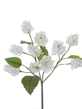 Picture of 12" HOP SPRAY