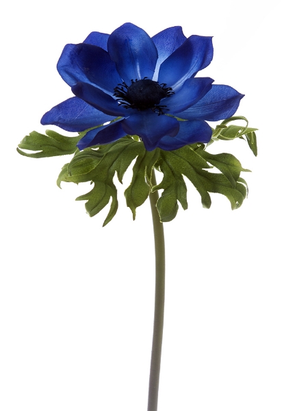 Picture of 23" POPPY ANENOME