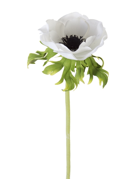 Picture of 22" POPPY ANEMONE STEM